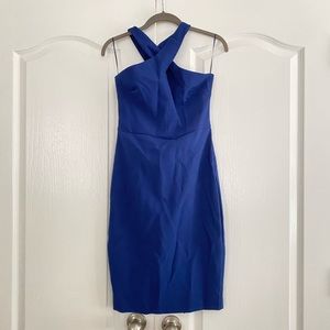 Likely Carolynn Dress in Blue